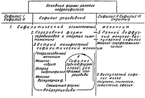 схема зв'язку в часі періодів і фаз перебігу сифілісу