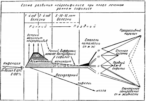 схема розвитку нейросифіліса